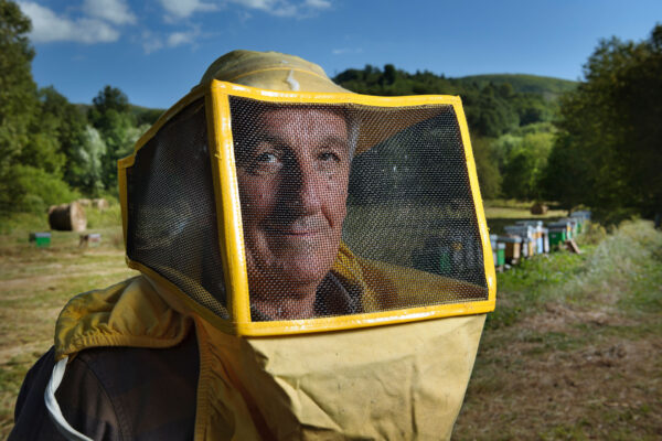 Miele Montagna Tomassi - Presidio Slow Food - immagine 3