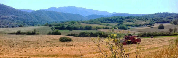 Fagioli borlotti dall'alta valle del Velino - immagine 2