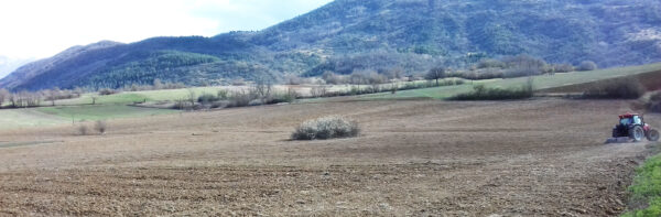 Fagioli borlotti dall'alta valle del Velino - immagine 3